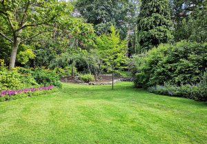 Optimiser l'expérience du jardin à Ponchon